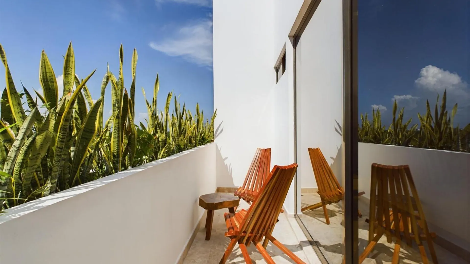 Dreamed Apartment Brava With Rooftop & Bridge Pool 图卢姆 墨西哥