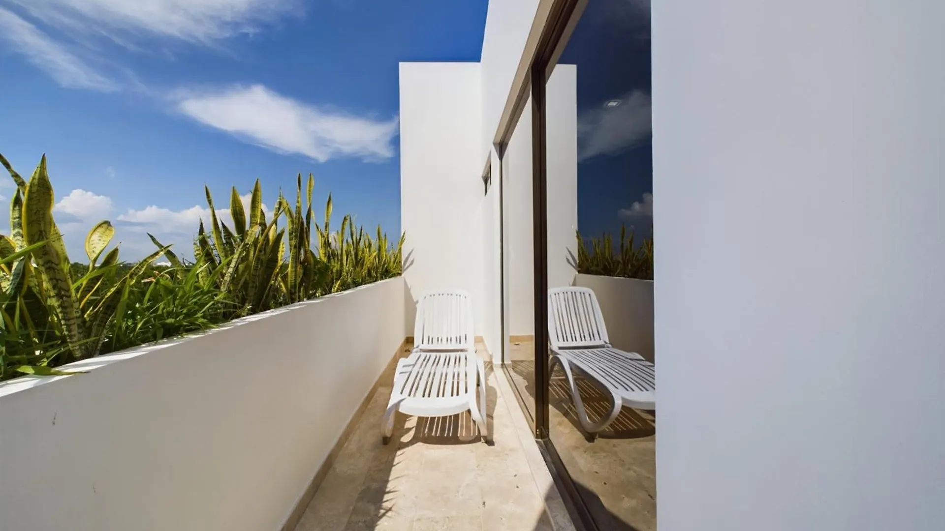 Dreamed Apartment Brava With Rooftop & Bridge Pool 图卢姆